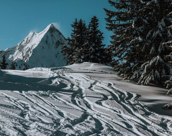 Forfait ski Roc d'Enfer pas cher | Passe Montagne Forêt de sapins et montagnes enneigées du Roc d'Enfer en Haute-Savoie