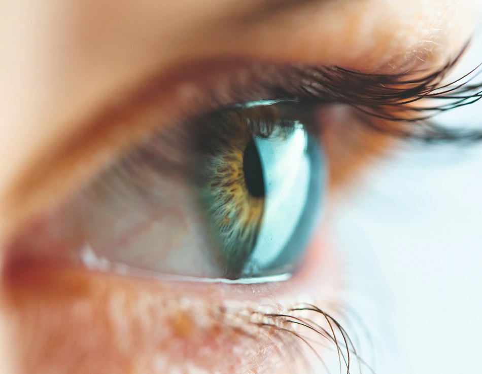 Auge Nahaufnahme eins Auges