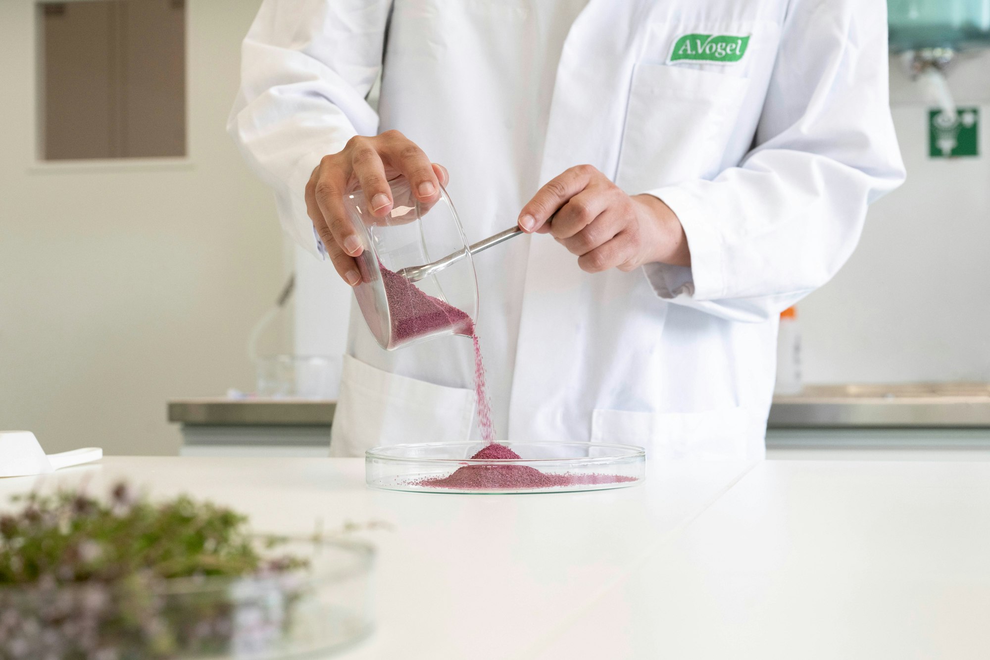 Wissenschaftliche Darstellung von Studiendaten und Frischpflanzenwirkung im Rahmen eines Webinars zur evidenzbasierten Phytotherapie.