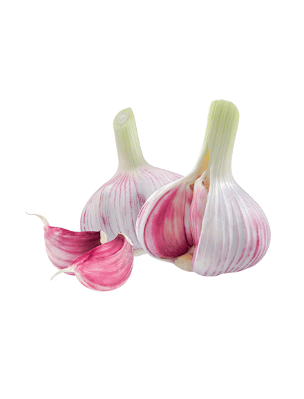 Knoblauchknollen