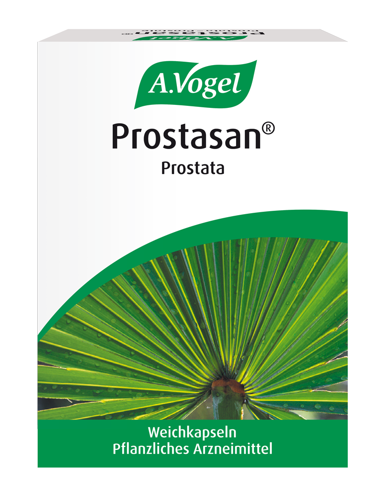 A.Vogel Prostasan® Prostata, 90 Weichkapseln Produktaufnahme von "Prostasan® Prostata". Pflanzliches Arzneimittel aus Sägepalmenfrüchten. Zur Linderung von Beschwerden infolge beginnender Prostatavergrösserung wie Harndrang.