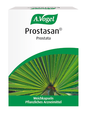 A.Vogel Prostasan® Prostata, 90 Weichkapseln Produktaufnahme von "Prostasan® Prostata". Pflanzliches Arzneimittel aus Sägepalmenfrüchten. Zur Linderung von Beschwerden infolge beginnender Prostatavergrösserung wie Harndrang.