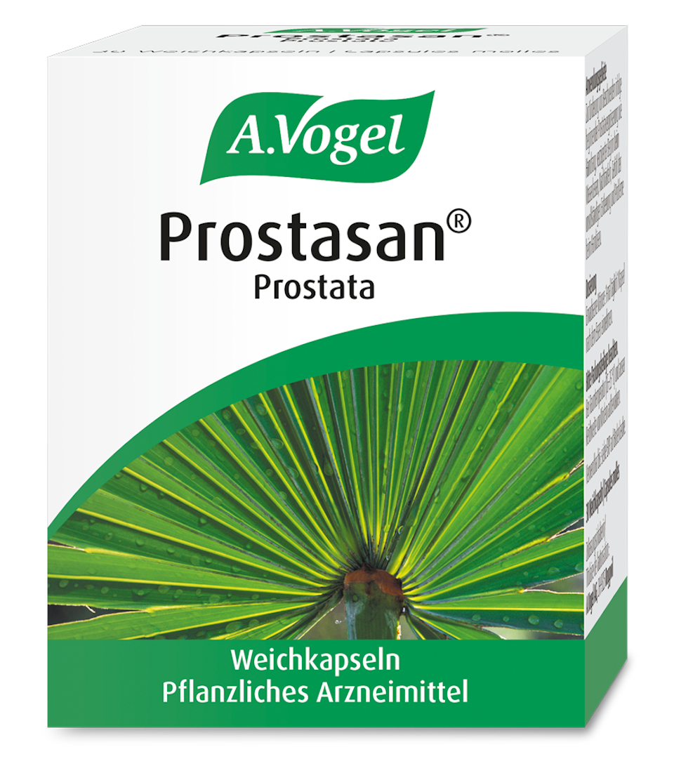 Produktaufnahme von "Prostasan® Prostata". Pflanzliches Arzneimittel aus Sägepalmenfrüchten. Zur Linderung von Beschwerden infolge beginnender Prostatavergrösserung wie Harndrang.