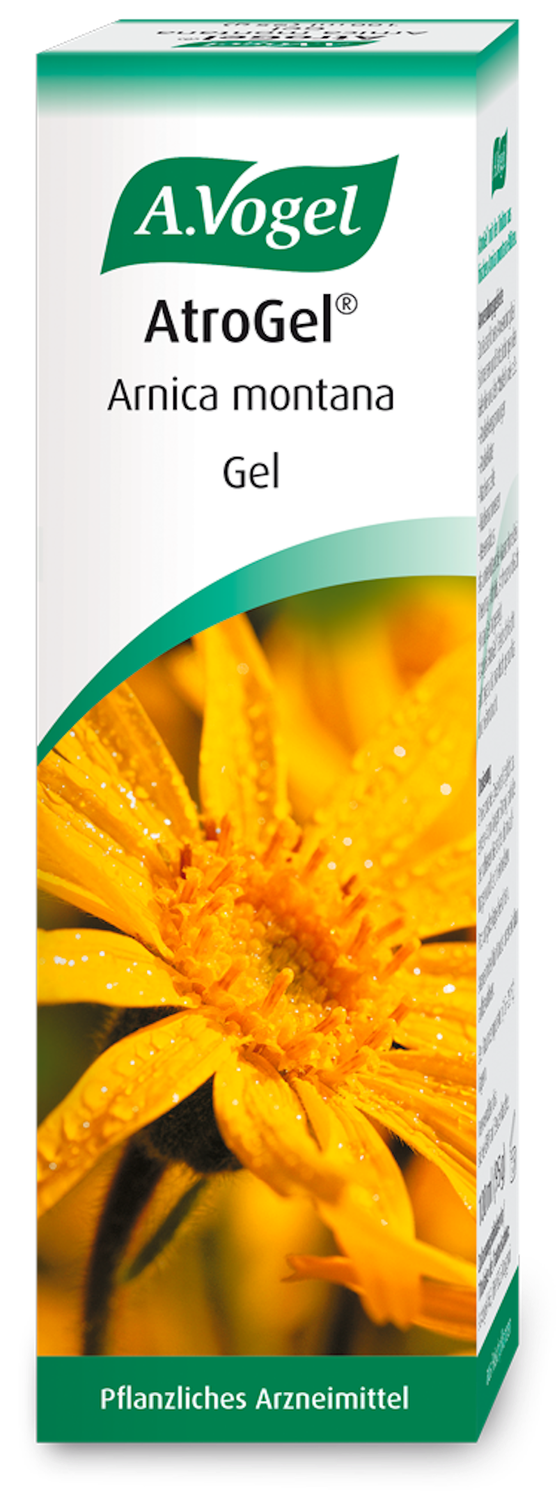 Produktaufnahme von "AtroGel® Arnica montana". Gel aus frischen Arnikablüten bei Muskel- und Gelenkschmerzen, Verspannungen und Hexenschuss. Leicht aufzutragen und praktisch geruchlos.