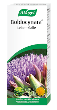 A.Vogel Boldocynara® Leber-Galle, 100 ml Produktaufnahme von "A.Vogel Boldocynara® Leber-Galle". Pflanzliches Arzneimittel aus Artischockenblättern, Löwenzahnwurzeln, Boldoblättern und Pfefferminze. Zur Anregung der Gallenproduktion.