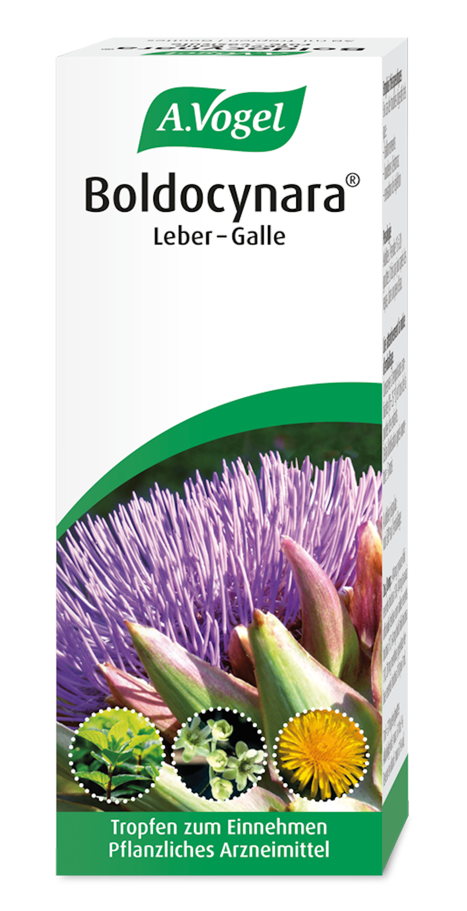 Produktaufnahme von "A.Vogel Boldocynara® Leber-Galle". Pflanzliches Arzneimittel aus Artischockenblättern, Löwenzahnwurzeln, Boldoblättern und Pfefferminze. Zur Anregung der Gallenproduktion.