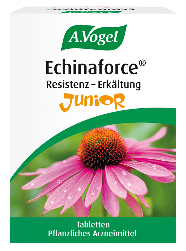 A.Vogel Echinaforce® Resistenz-Erkältung Junior, Tabletten Produktaufnahme von "A.Vogel Echinaforce® Resistenz-Erkältung Junior". Pflanzliches Arzneimittel aus frischem Rotem Sonnenhut für Kinder ab 4 Jahren. Zur Steigerung der körpereigenen Abwehr bei Erkältungsanfälligkeit.