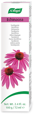 A.Vogel Echinacea-Zahnpasta Produktaufnahme von "A.Vogel Echinacea-Zahnpasta". Zahnpasta mit Rotem Sonnenhut, Blutwurz, Heidelbeerblättern und Süssholz. Kräftigt empfindliches Zahnfleisch und erfrischt nachhaltig.