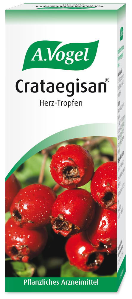 A.Vogel Crataegisan® Herz-Tropfen, 100 ml Produktaufnahme von "A.Vogel Crataegisan® Herz-Tropfen ". Pflanzliches Arzneimittel aus frischen Weissdornfrüchten. Wird angewendet bei nervösen Herzbeschwerden wie Druck- oder Beklemmungsgefühl in der Herzgegend.