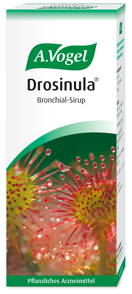 A.Vogel Drosinula® Sirup Produktaufnahme von "A.Vogel Drosinula® Sirup". Pflanzliches Arzneimittel aus Rottannenknospen, Sonnentau und Efeu. Zur Behandlung von Atemwegserkrankungen mit Hustenreiz und zäher Verschleimung.