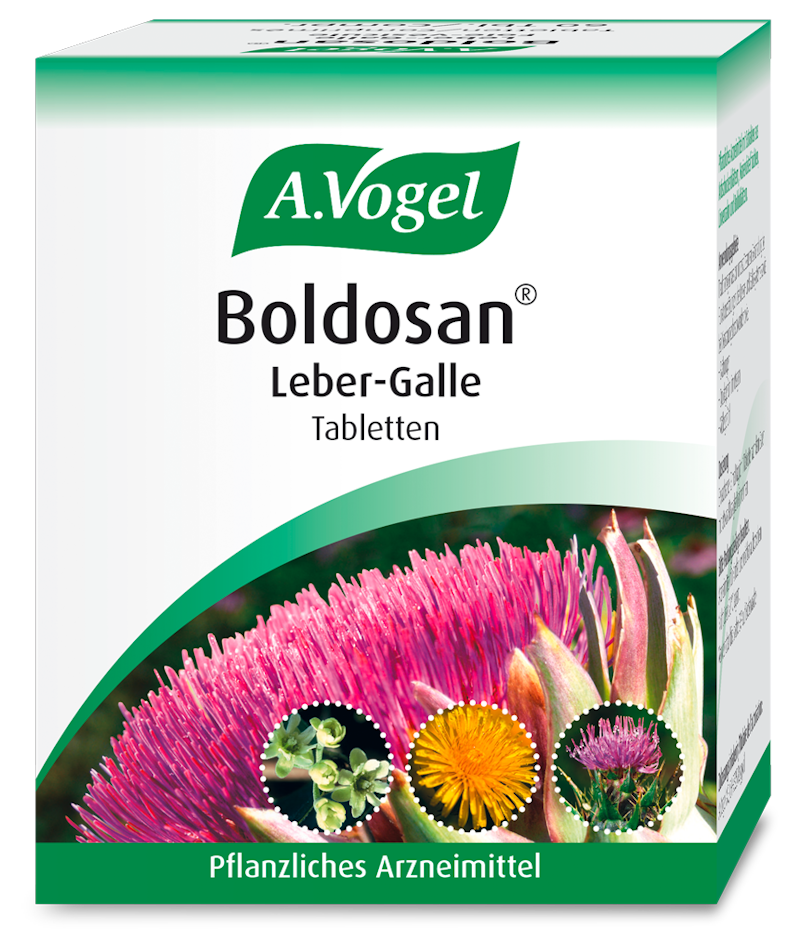 Produktaufnahme von "A.Vogel Boldosan® Leber-Galle". Pflanzliches Arzneimittel aus Artischockenblättern, Mariendistelfrüchten, Löwenzahn und Boldoblättern. Zur Unterstützung der Gallenfunktion.