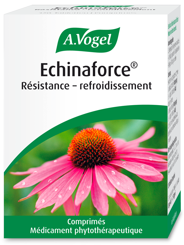 Echinaforce® Résistance-refroidissement, 120 comprimés Photo du produit Echinaforce® Résistance-refroidissement, 120 comprimés