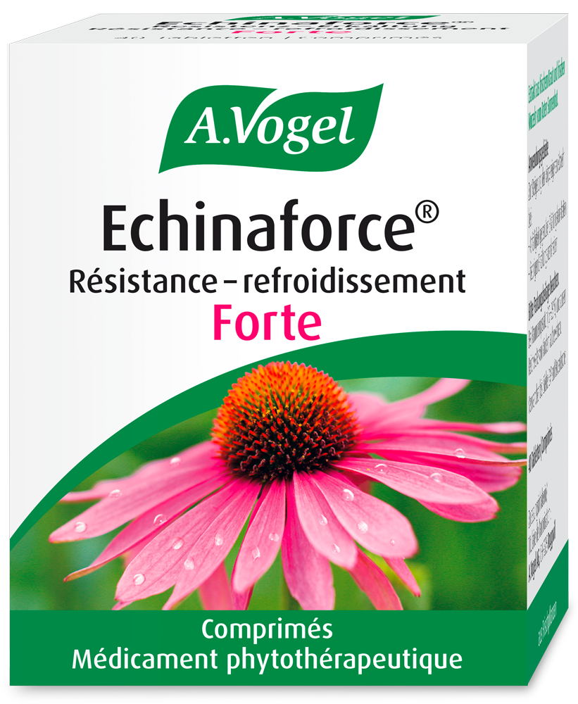 Echinaforce® Forte, Résistance-refroidissement Junior, 40 comprimés Photo du produit Echinaforce® Forte, Résistance-refroidissement Junior, 40 comprimés