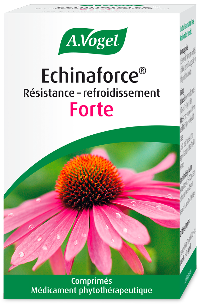 Echinaforce® Forte, Résistance-refroidissement Junior, 120 comprimés Photo du produit Echinaforce® Forte, Résistance-refroidissement Junior, 120 comprimés