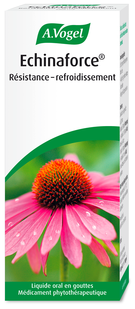 Echinaforce® Cold Resistance, drops Photo du produit Echinaforce® Cold Resistance, drops