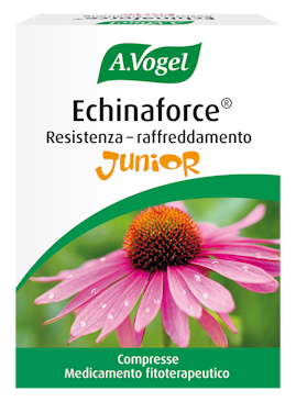 Photo du produit Echinaforce® Resistenza al raffreddore Junior, compresse