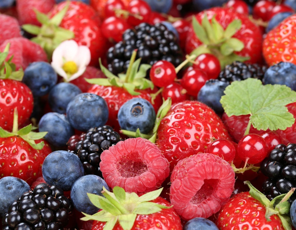 Antioxidantien verschiedene frische Beeren