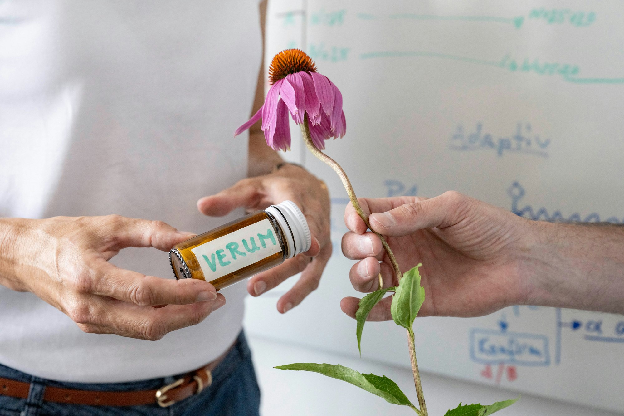 Echinacea-Pflanze und Serumflasche in der Forschung und Entwicklung  (Foto: A.Vogel)