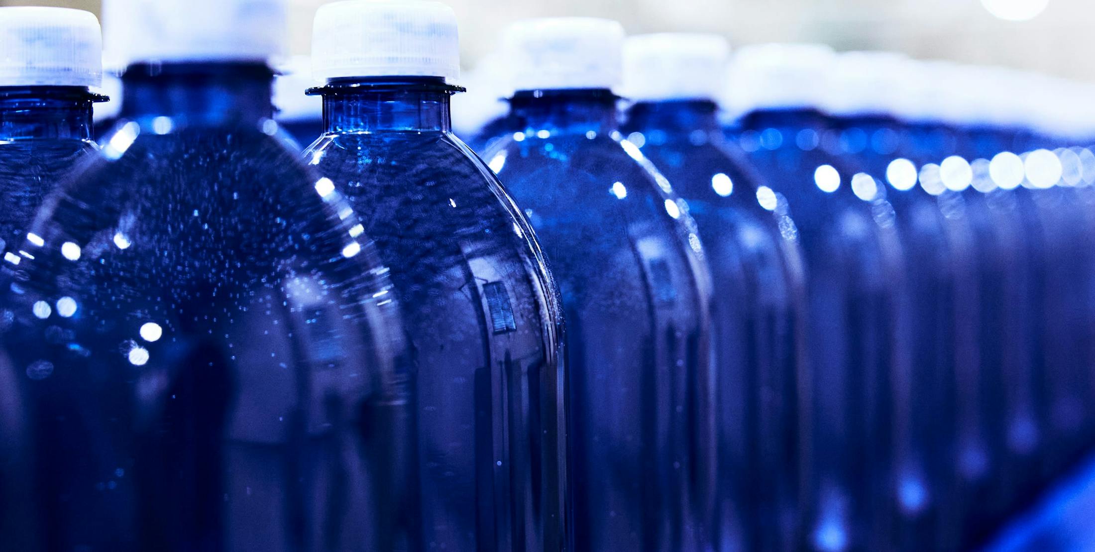 close up of multiple rows of filled bottles