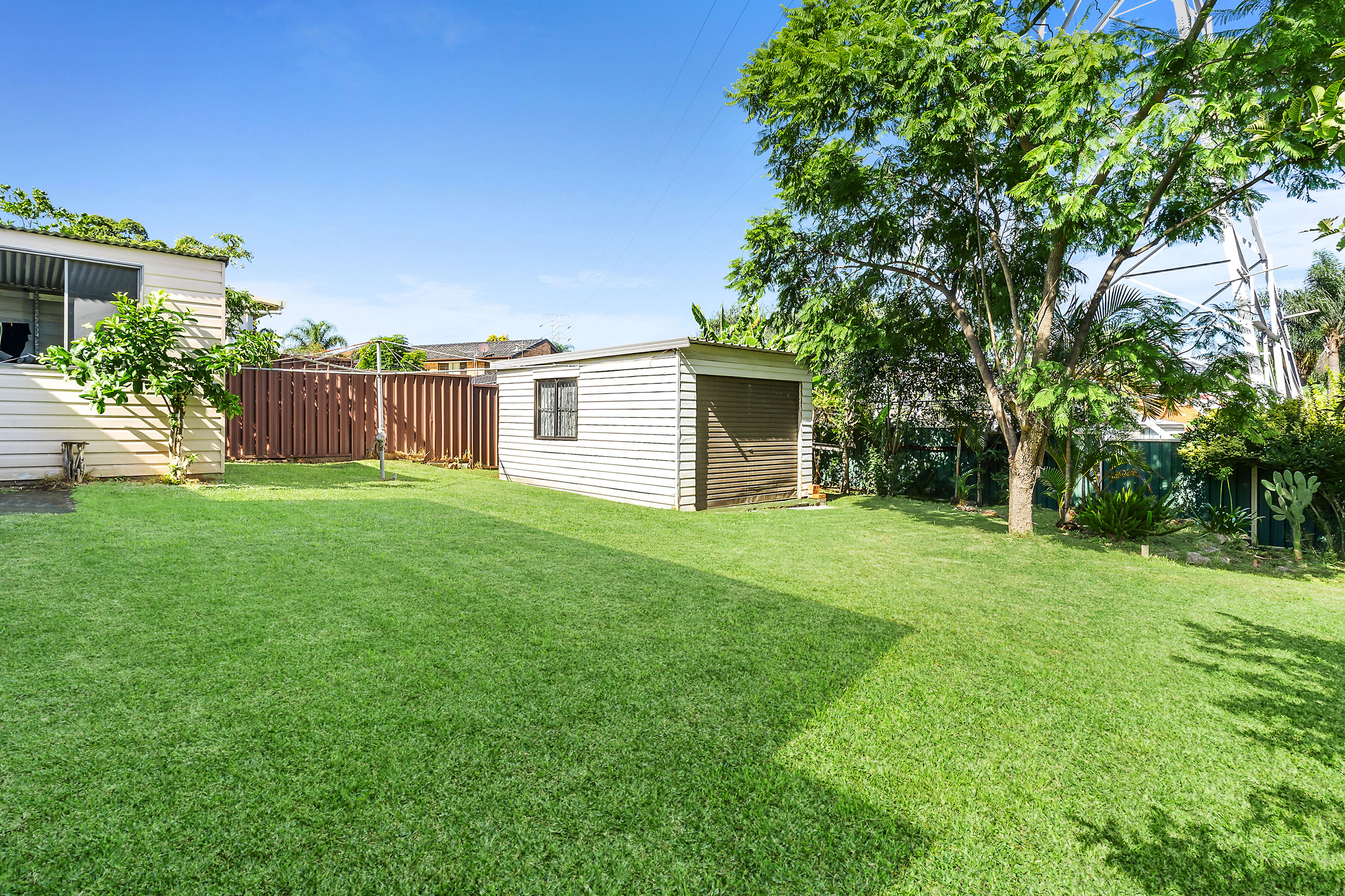 backyard