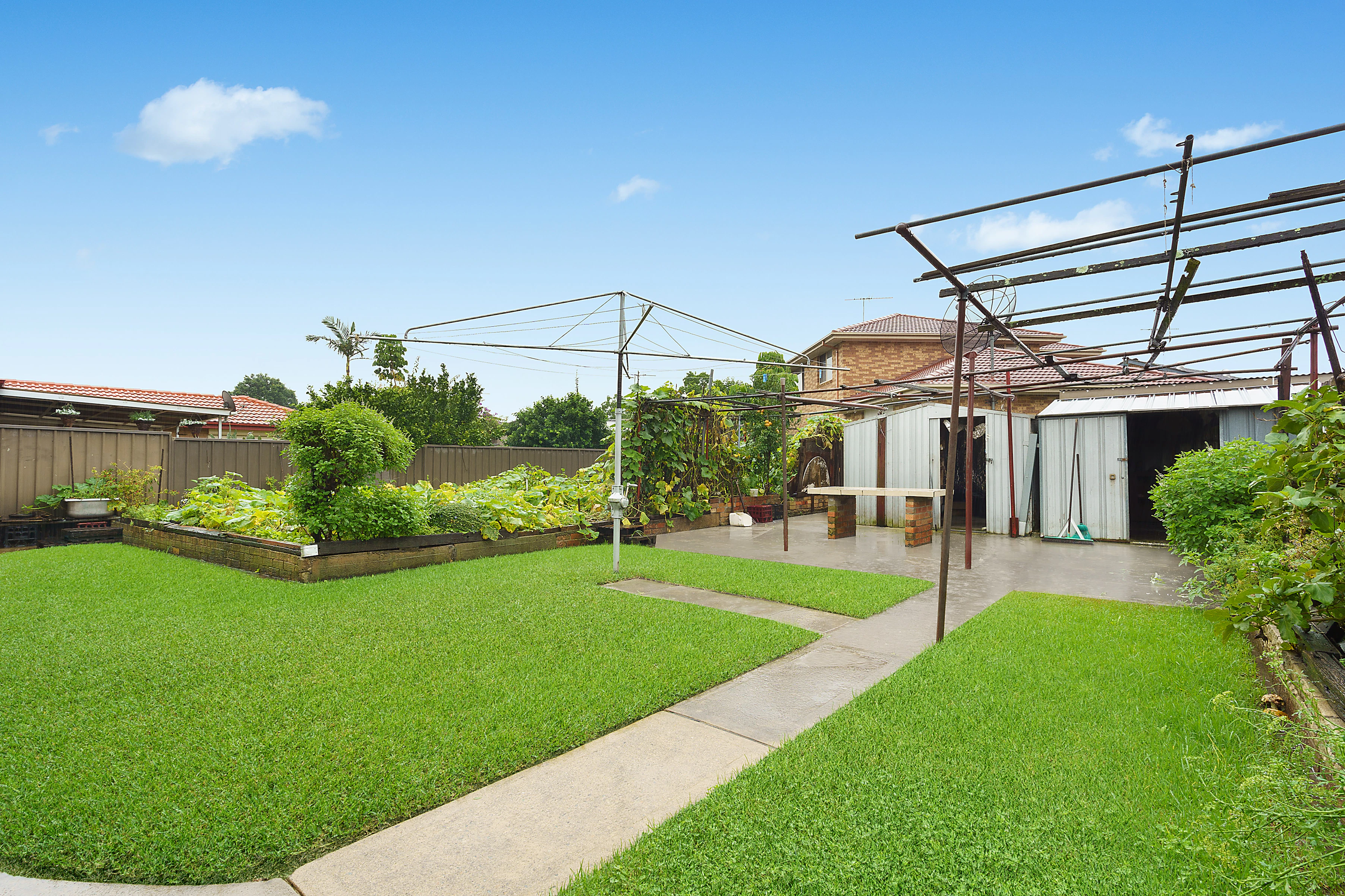 backyard