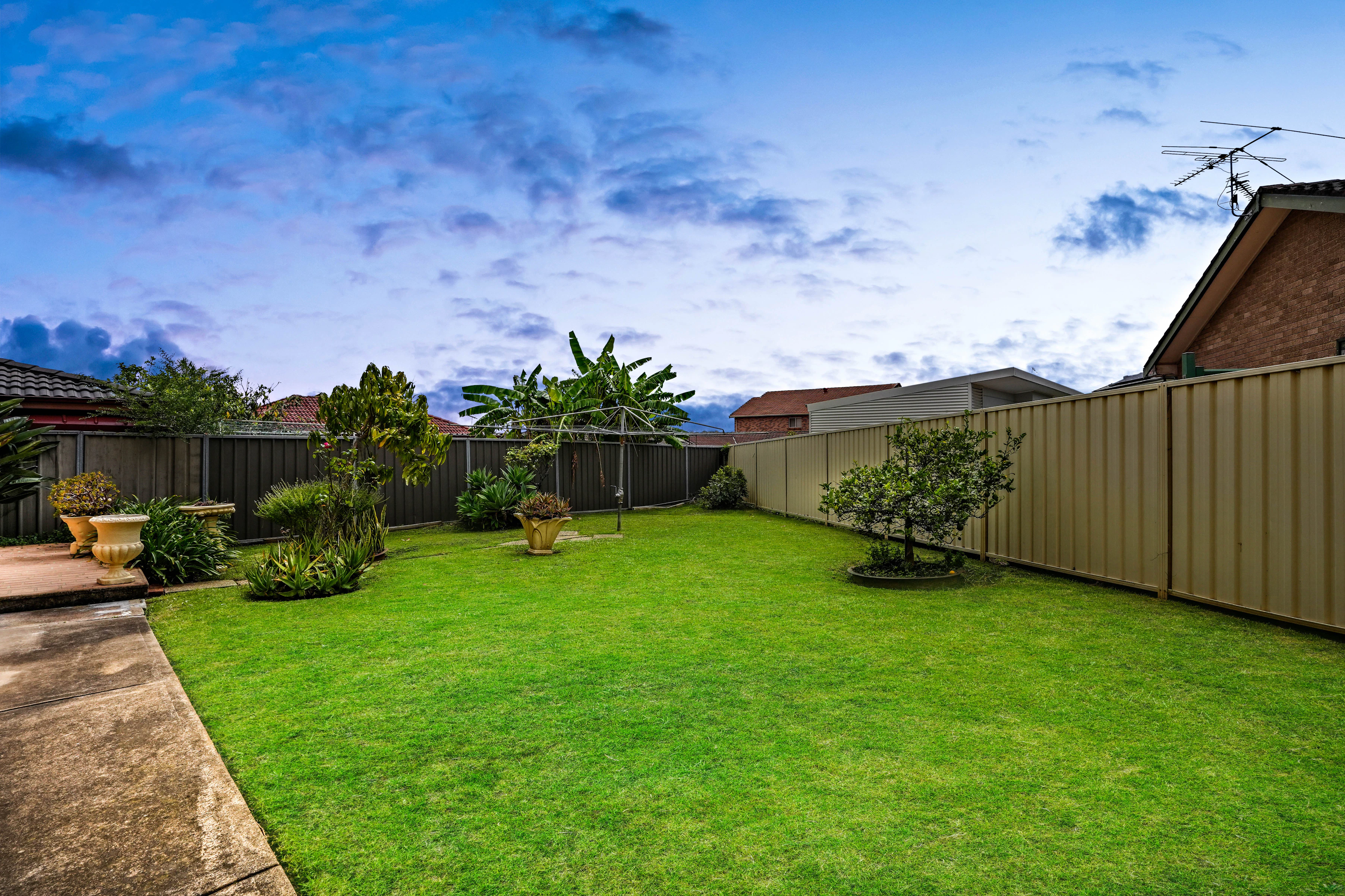 backyard