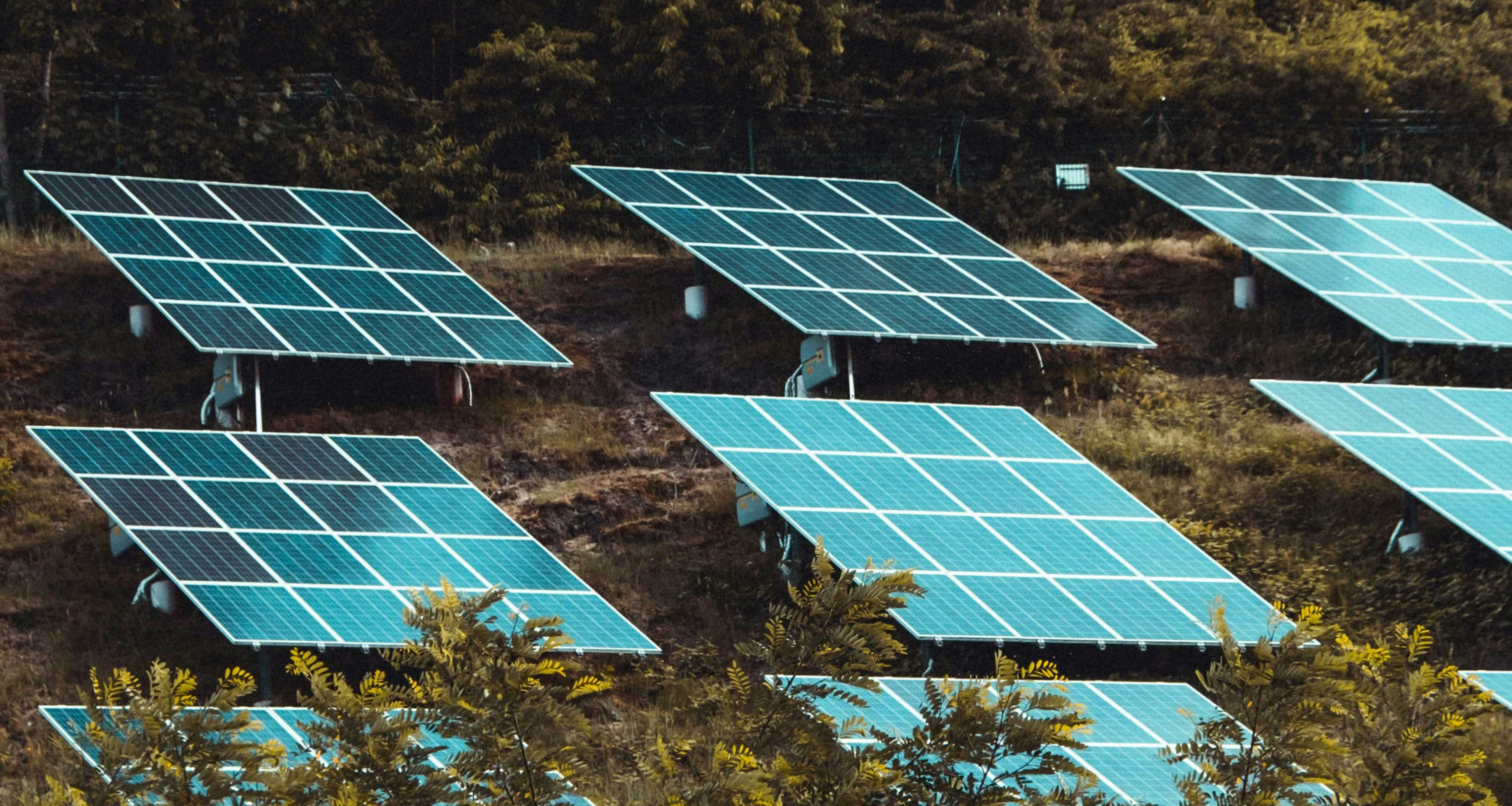 biodiversite panneaux solaires