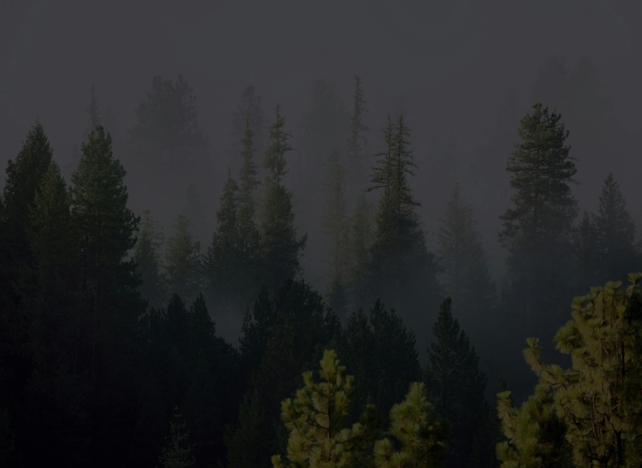 Background media