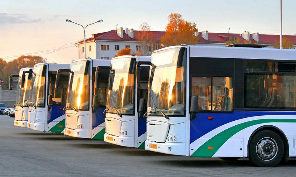 Buses