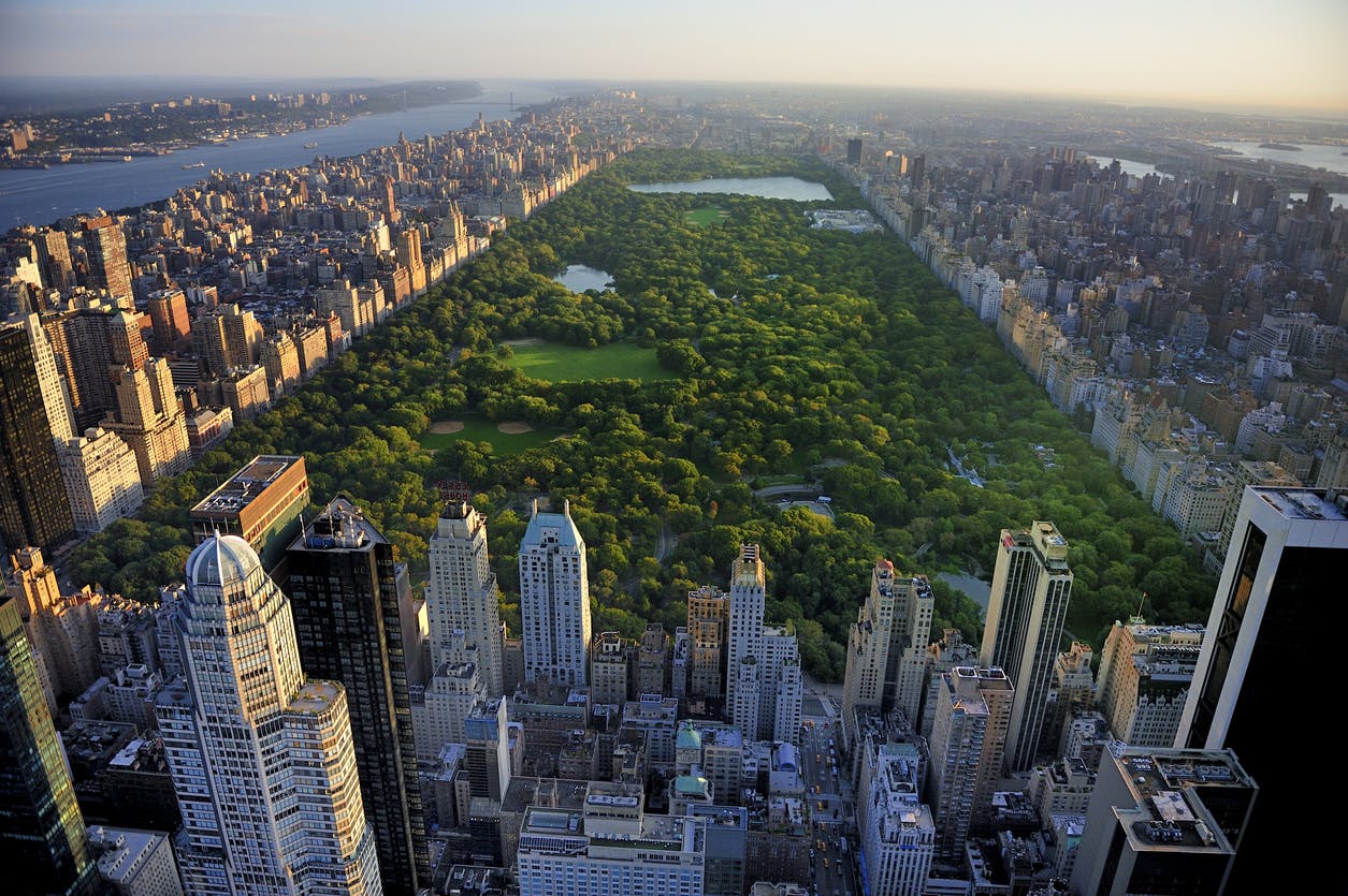Sky view of central park in NYC