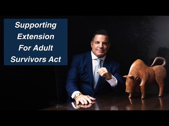 Michael Lamonsoff on Spectrum 1 TV - Supporting 1 year extension for the Adult Survivors Act