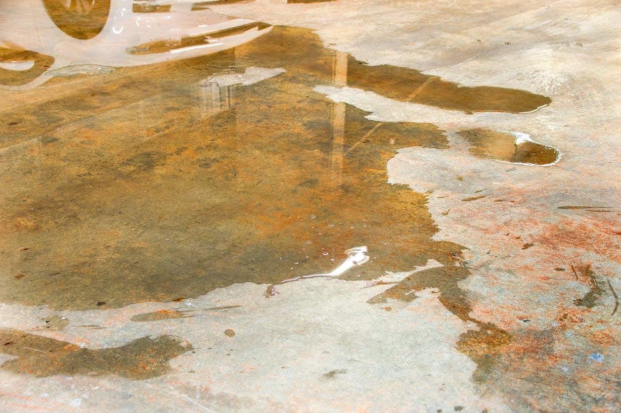 A puddle on the floor