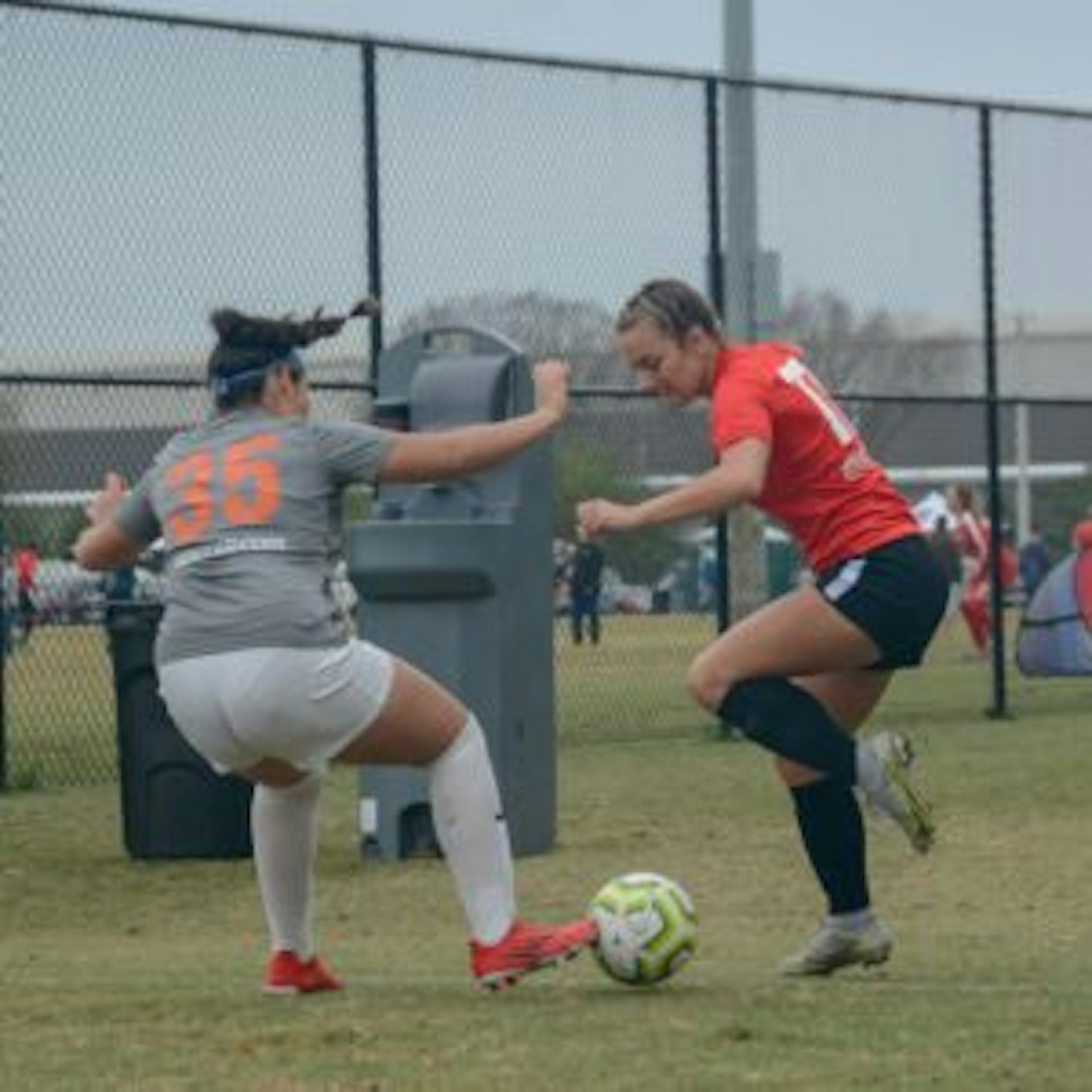 February Newsletter 2022