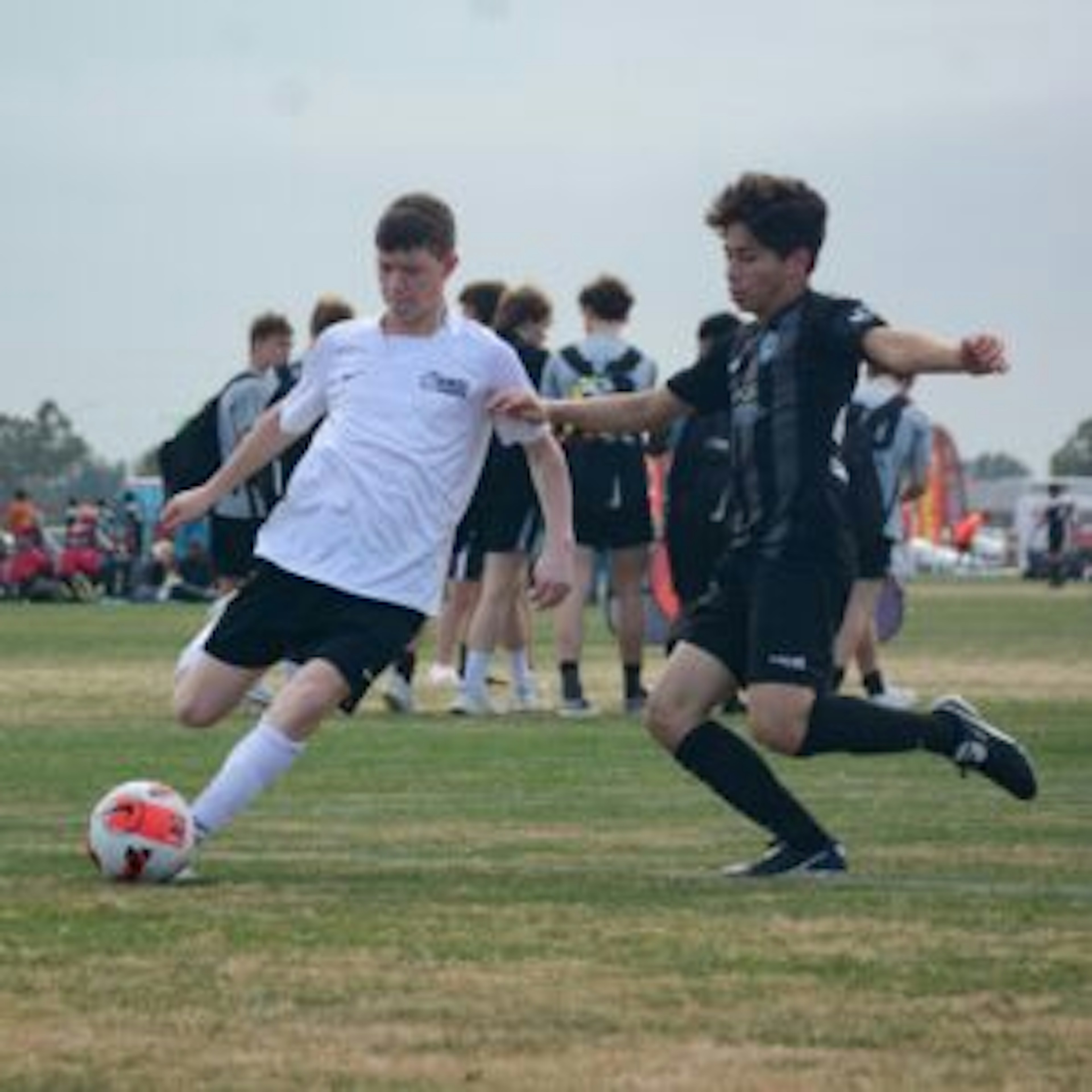 February Newsletter 2022