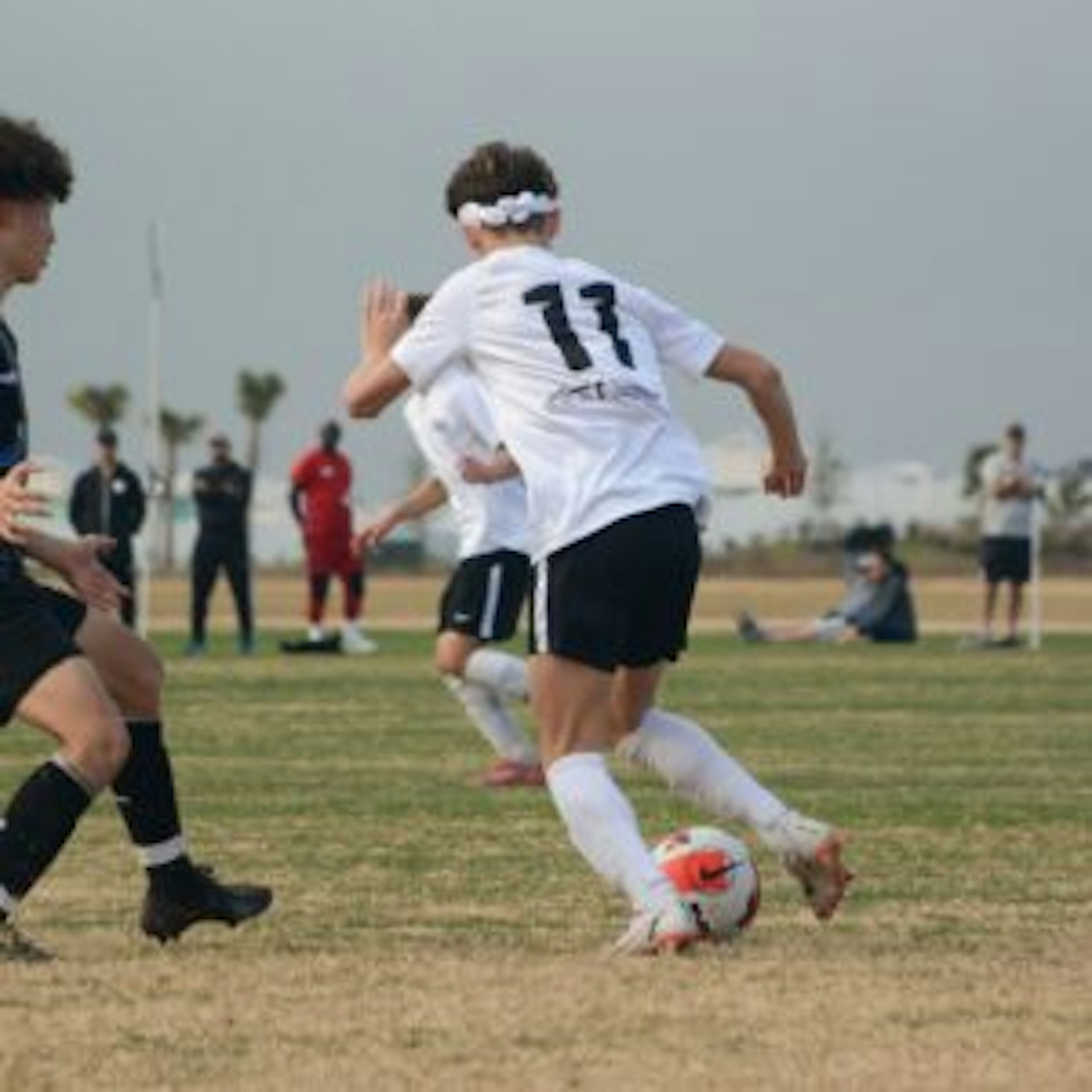 February Newsletter 2022