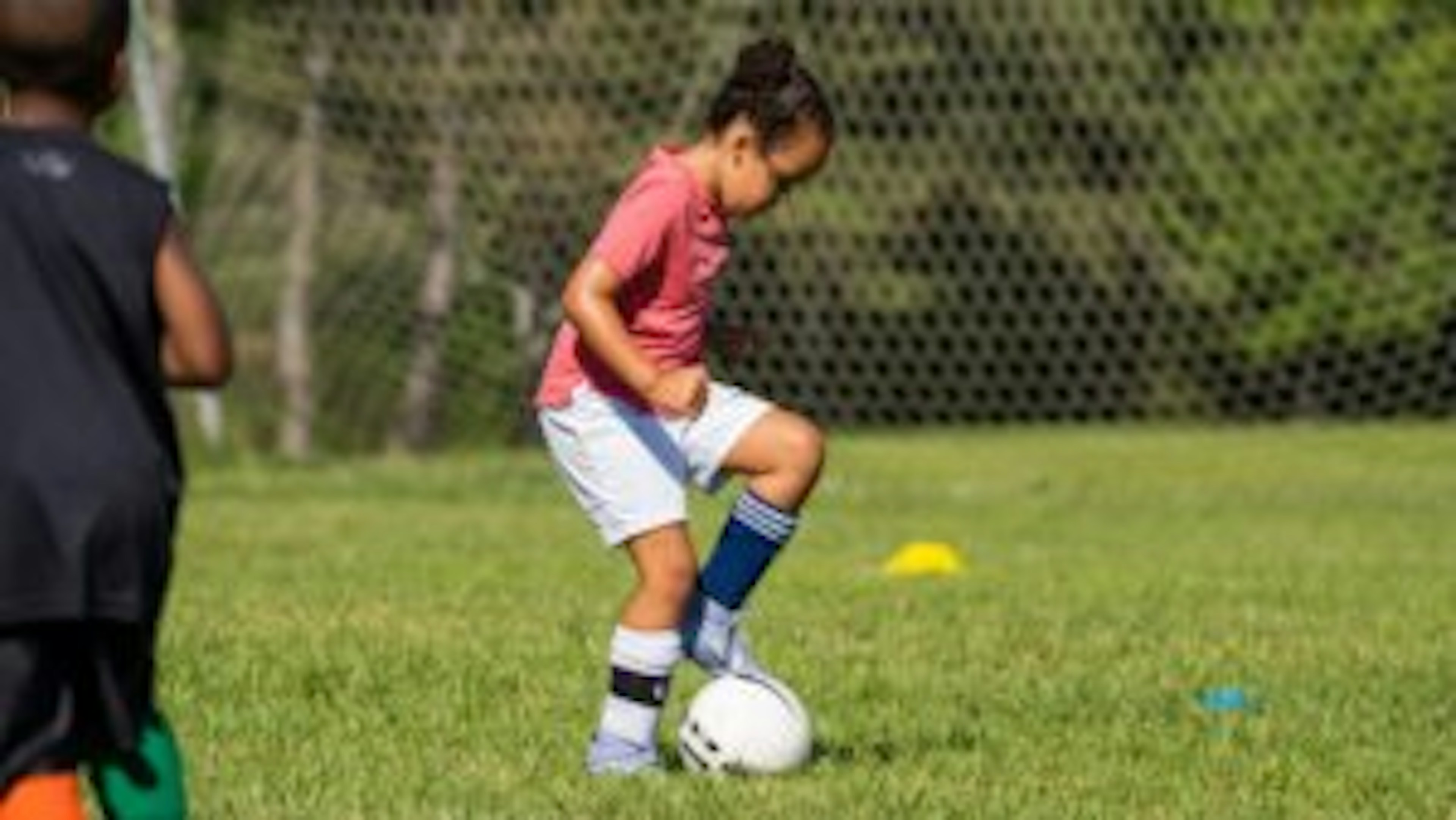 August Newsletter 2022