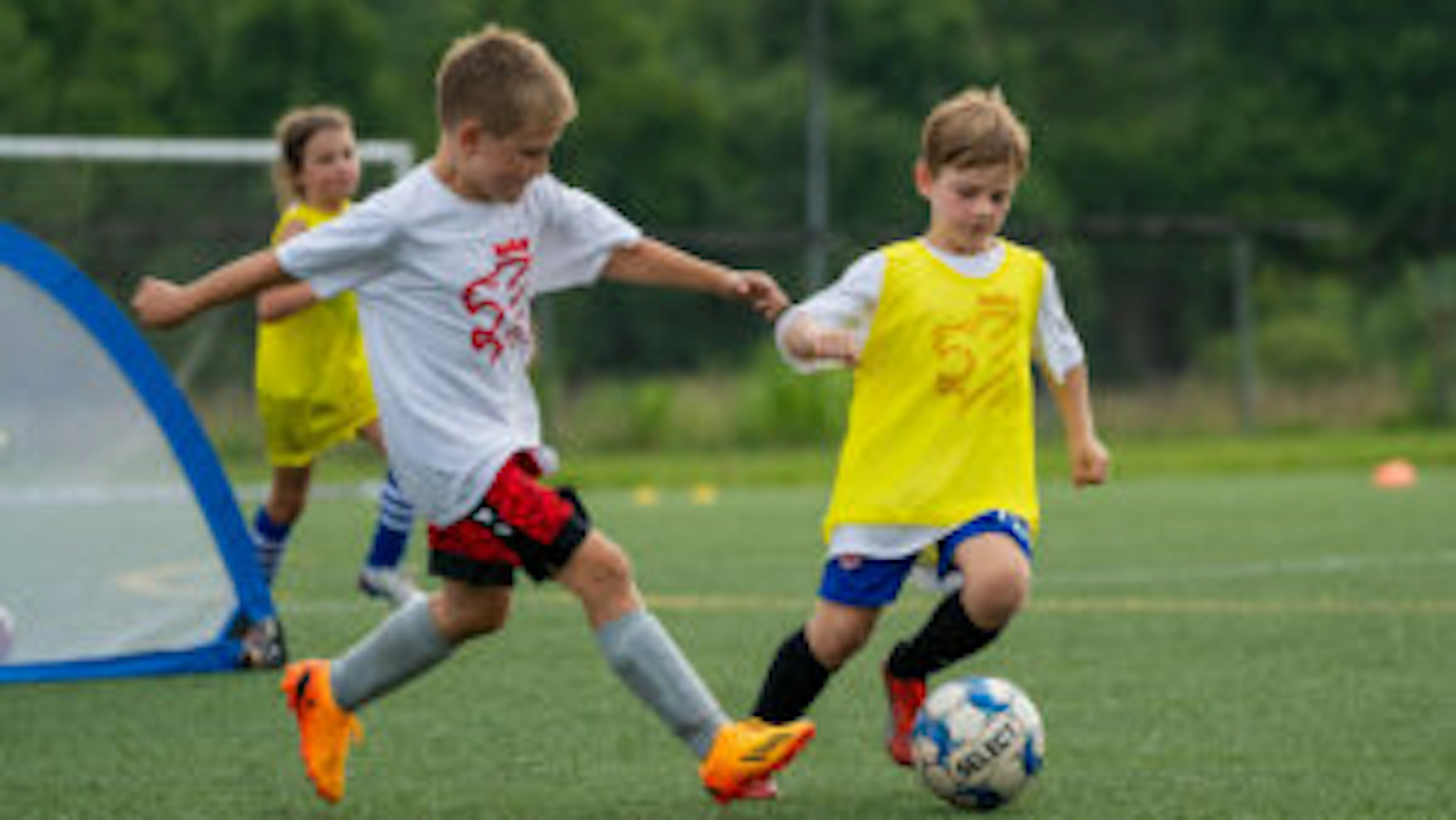 July Newsletter 2023