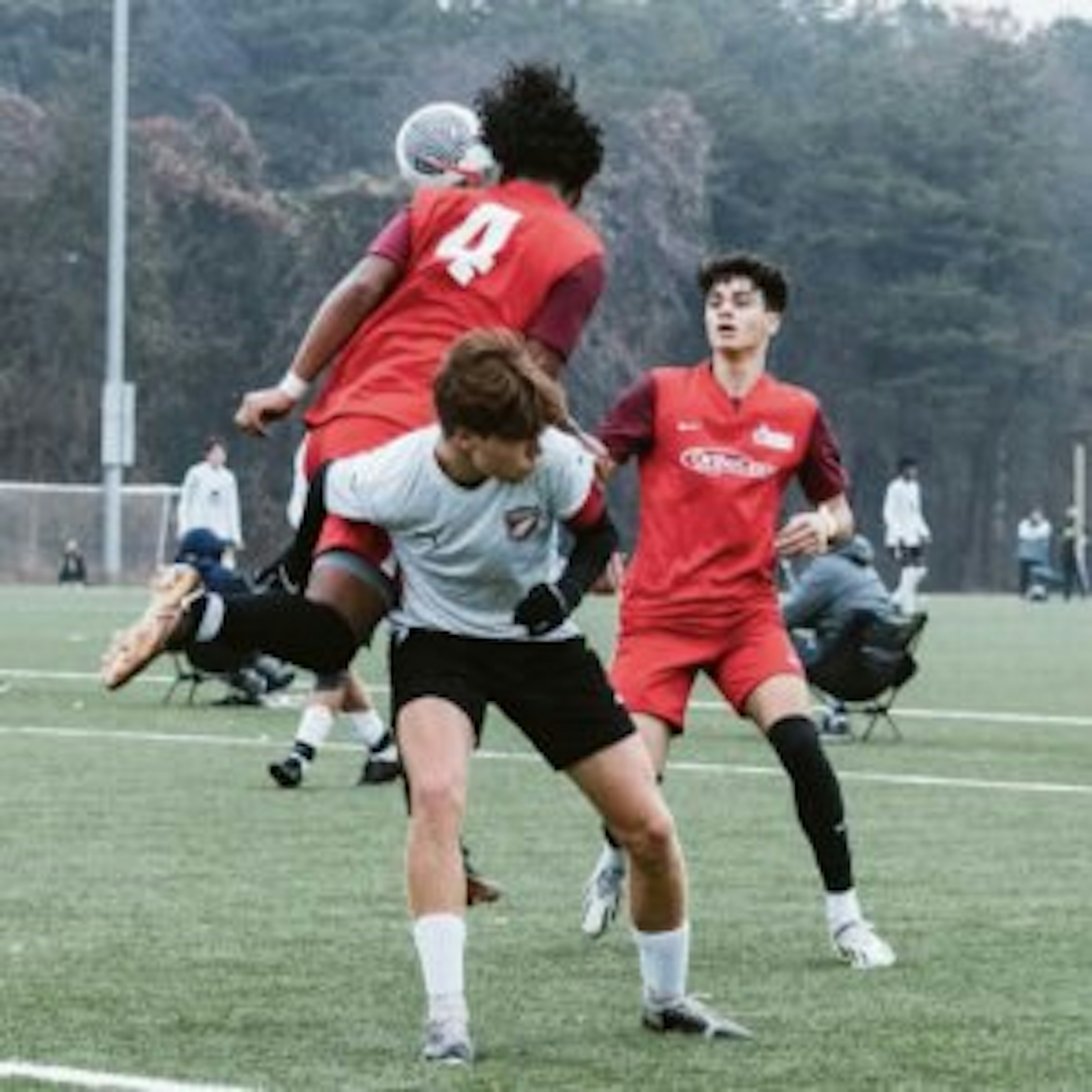 December Newsletter 2023
