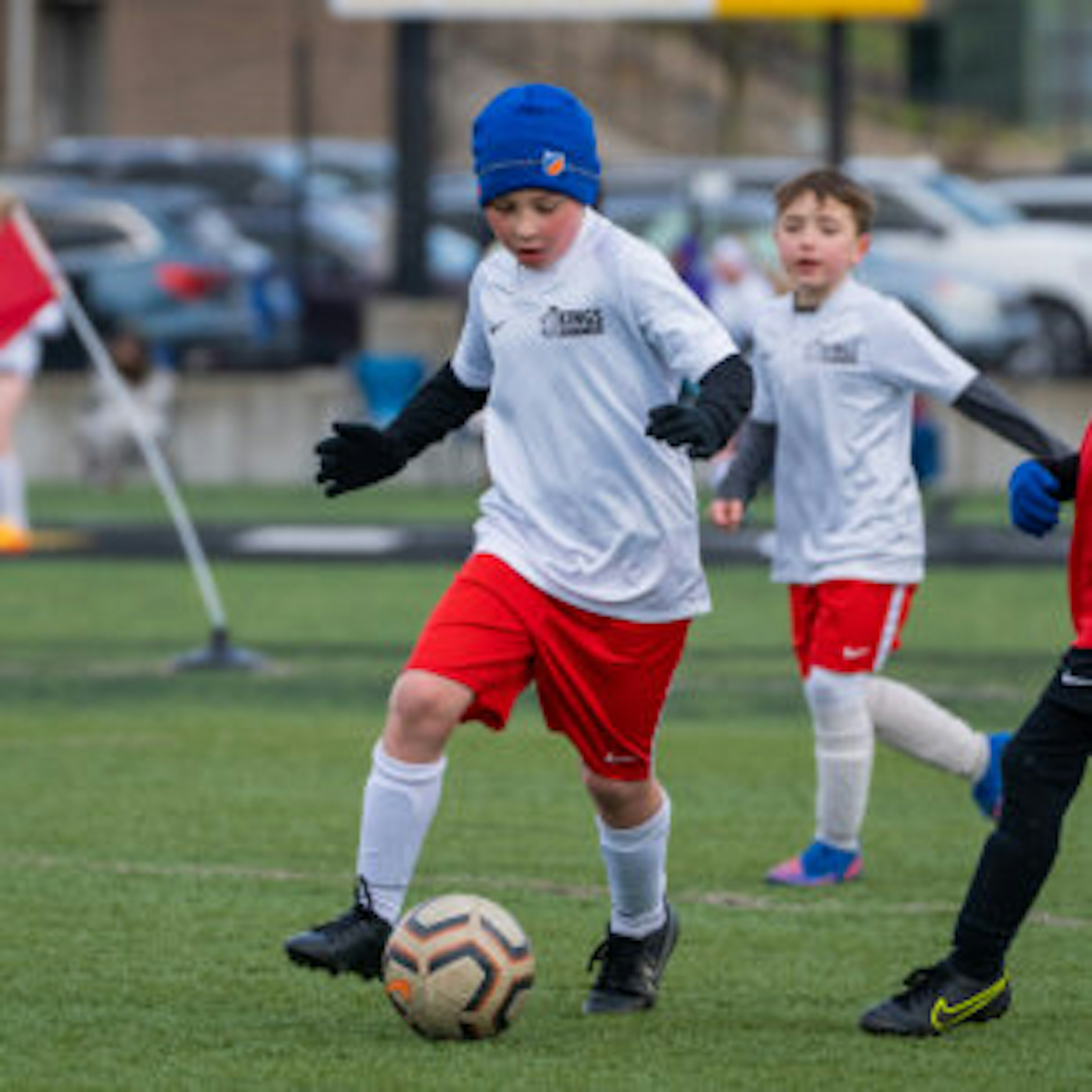 February Newsletter 2024