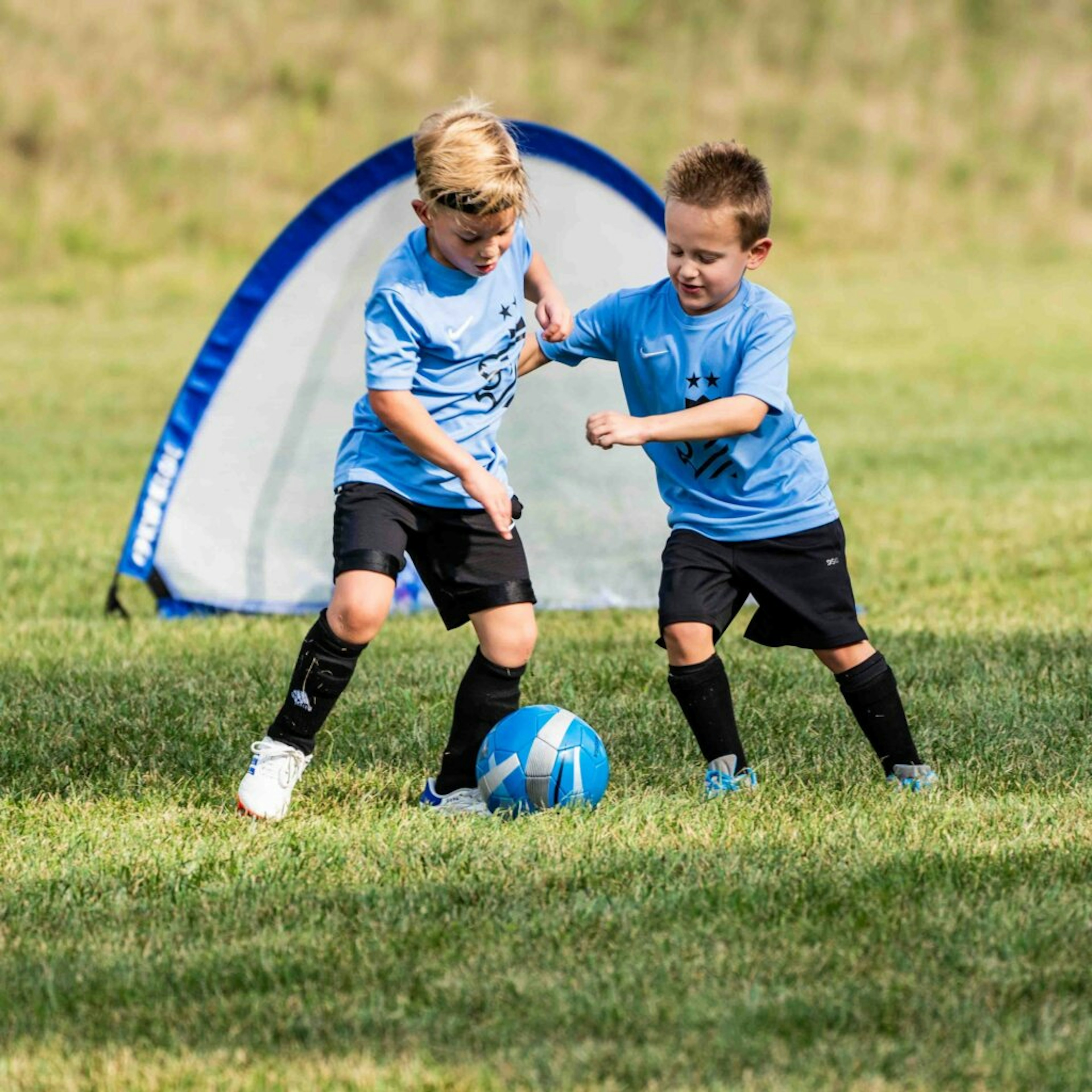 August Newsletter 2024