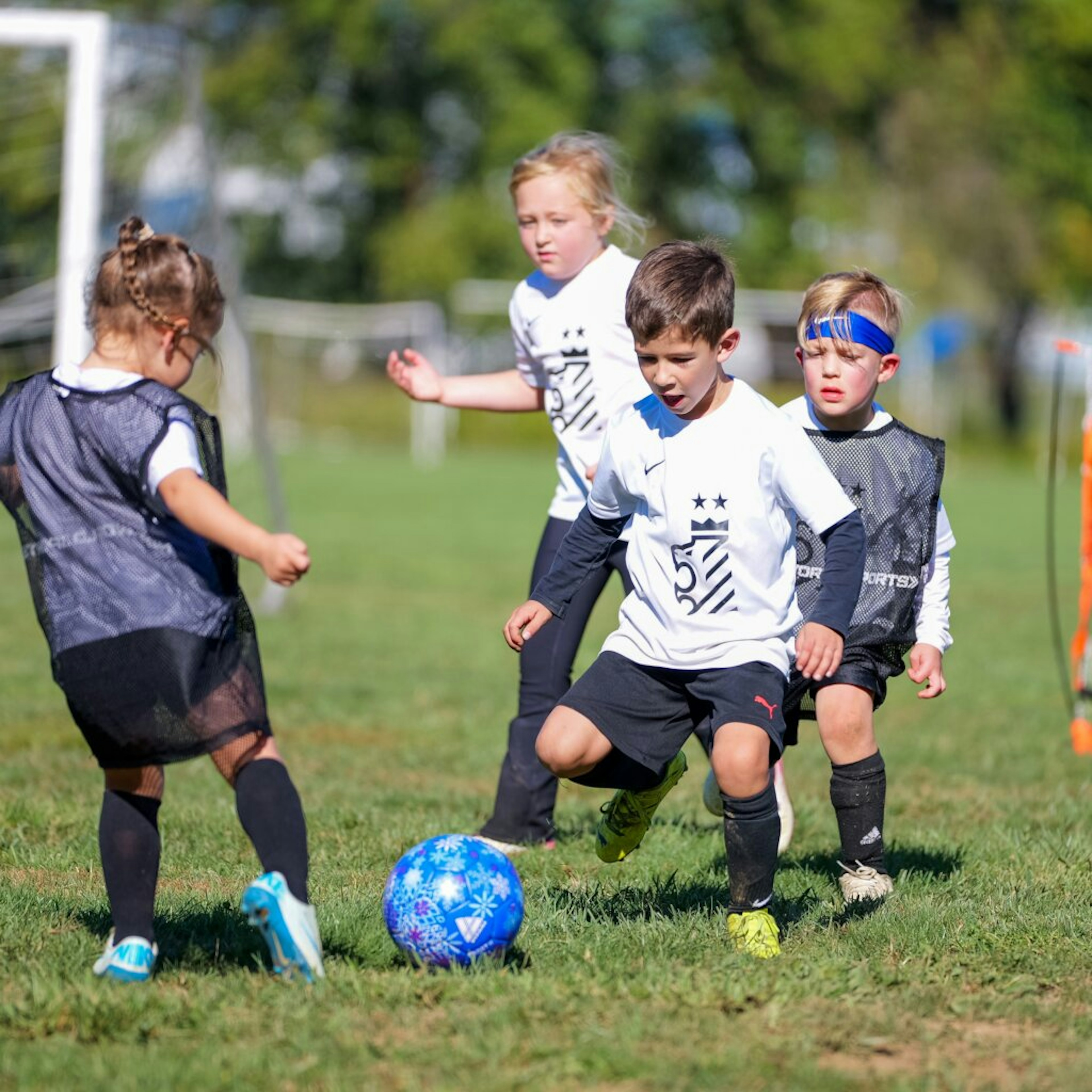 October Newsletter 2024