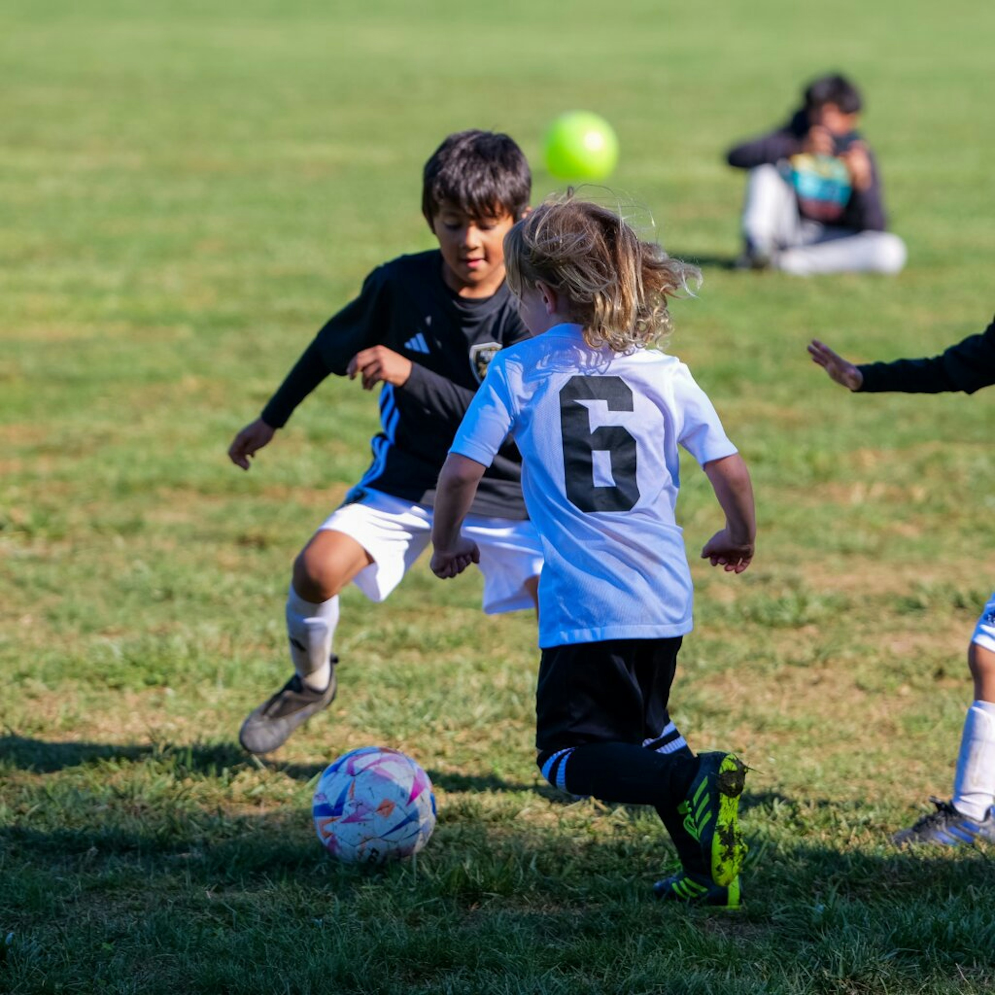 October Newsletter 2024