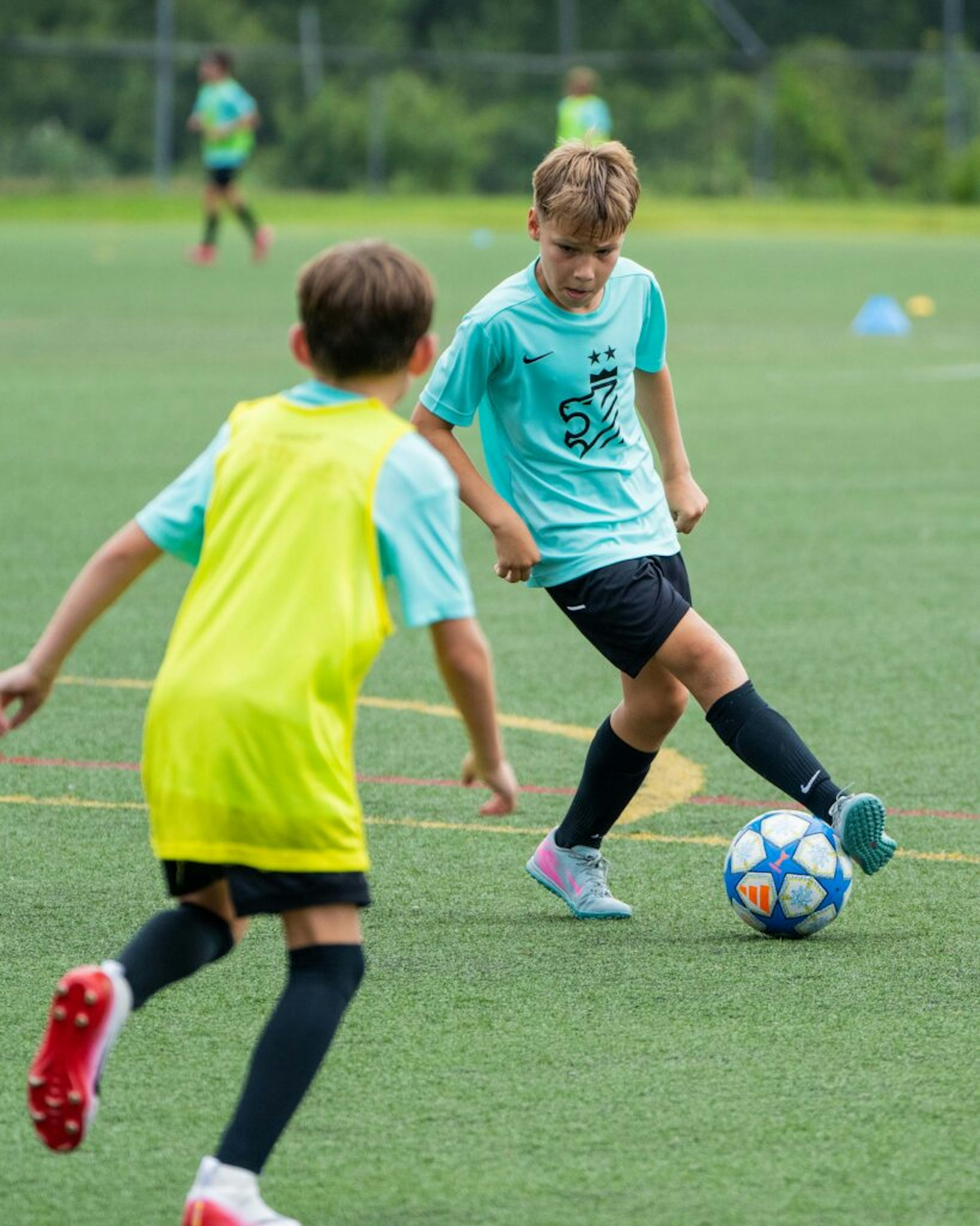 July Newsletter 2025