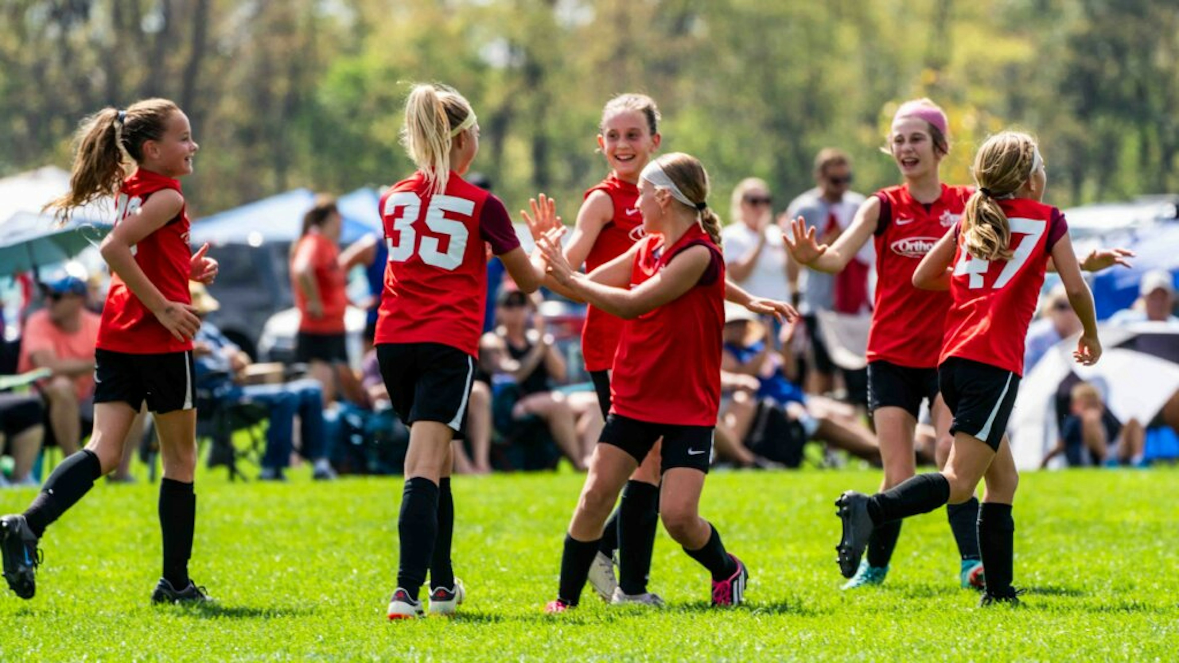 July Newsletter 2025