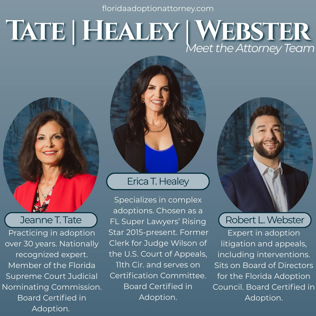 Tate Healey Webster - Meet the attorney team