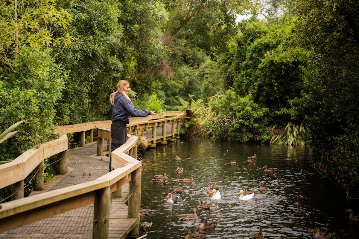 Willowbank logo