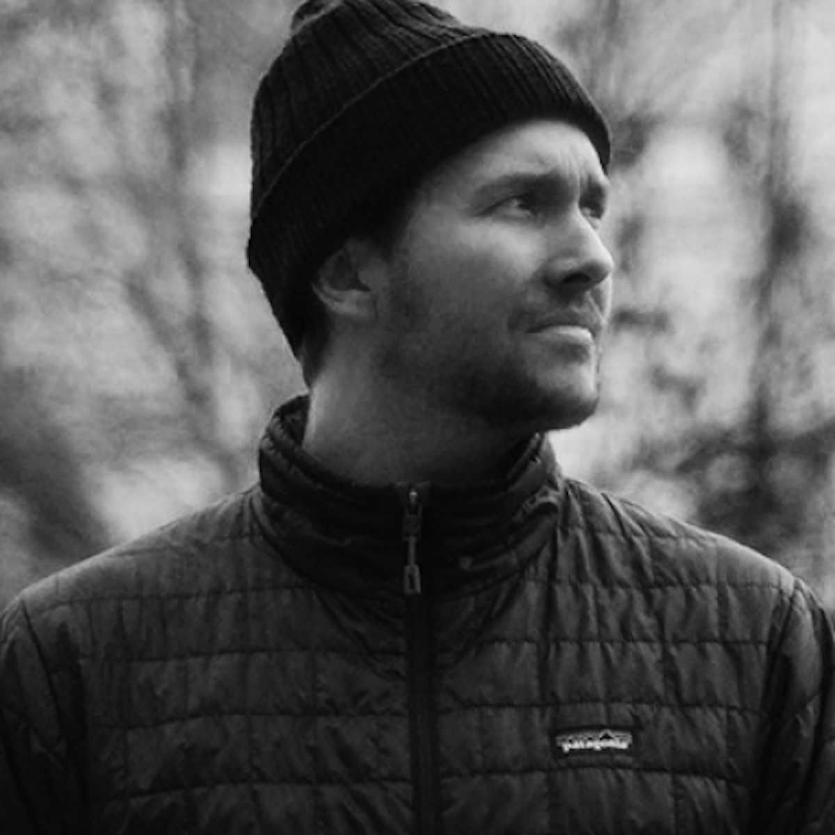 David Findlay — Zauberberg