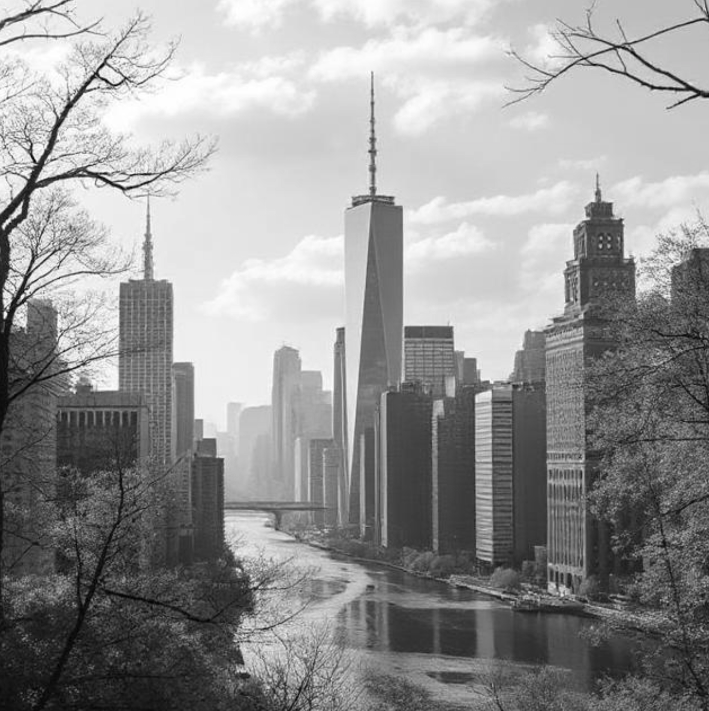 Cities increasingly need adaptation measures. AI generated