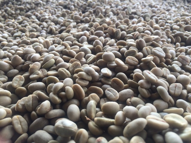 Image: Christelle Fontana