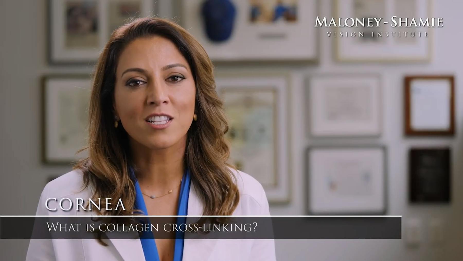 Maloney-Shamie-Hura Vision Institute